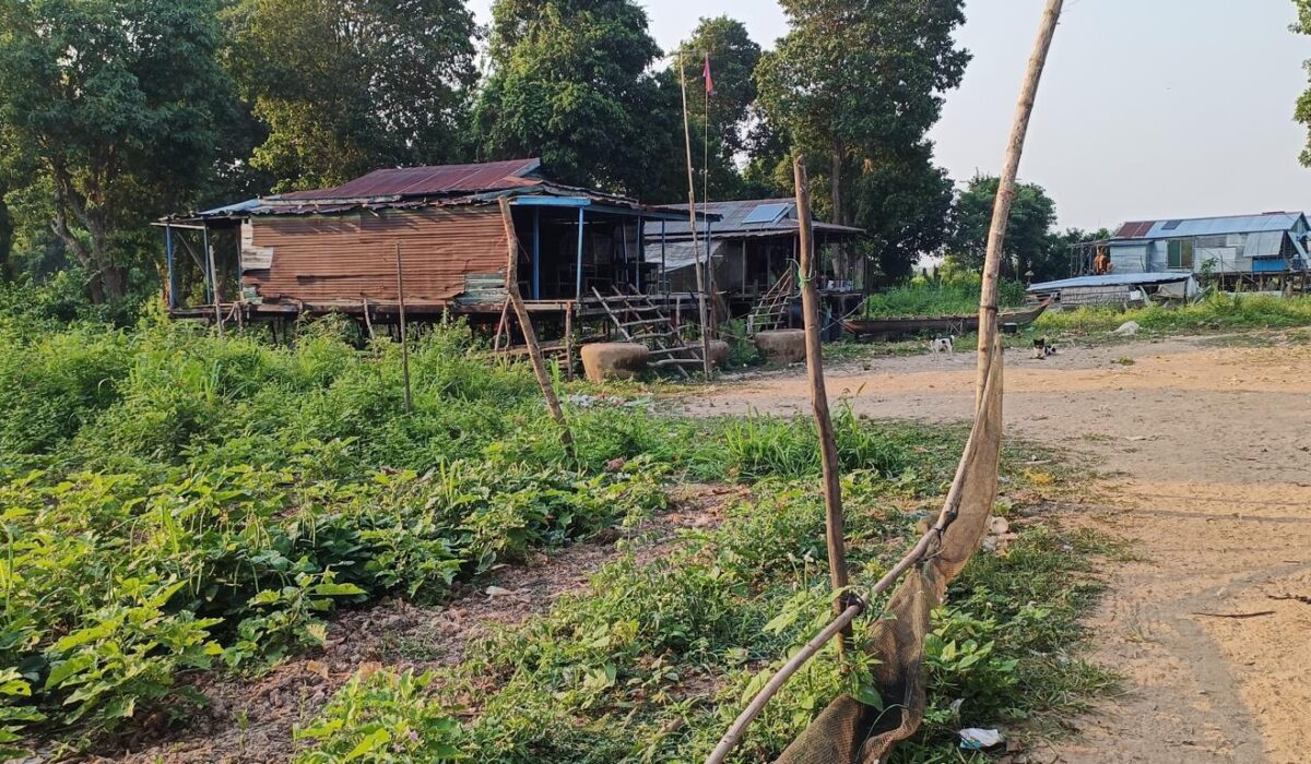 K1024_IMG20230224074354