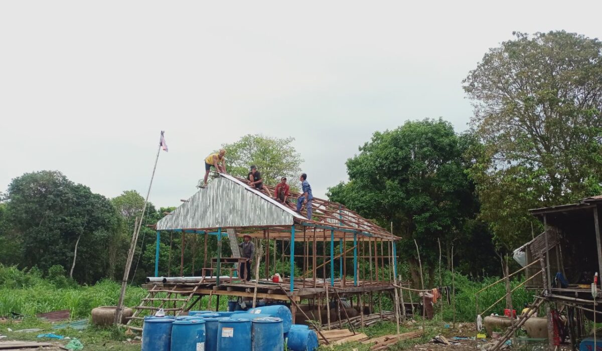 photo_2023-05-02_07-42-19