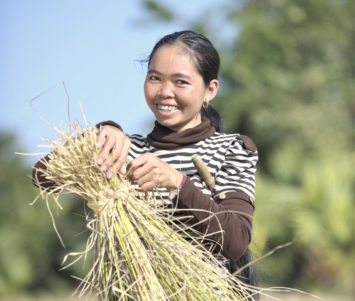 Cambodian woman farmer