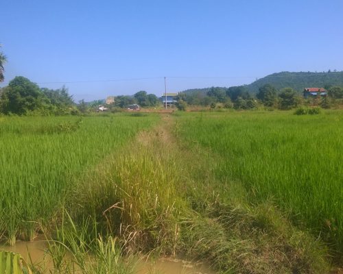 WP_20151030_09_08_17_Pro