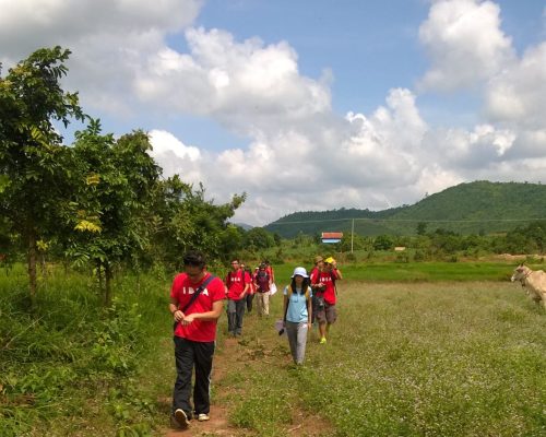 WP_20151101_11_10_44_Pro