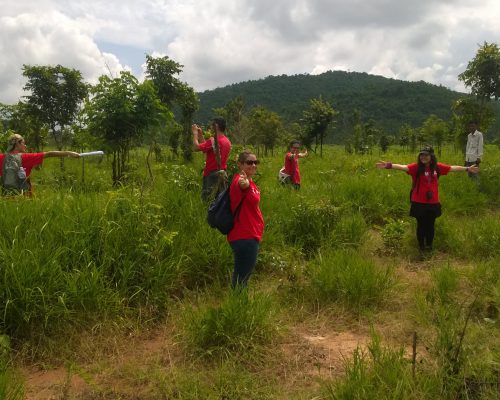 WP_20151101_11_41_06_Pro